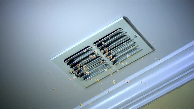 Best Best Air Duct Cleaning Company  in Kotzebue, AK