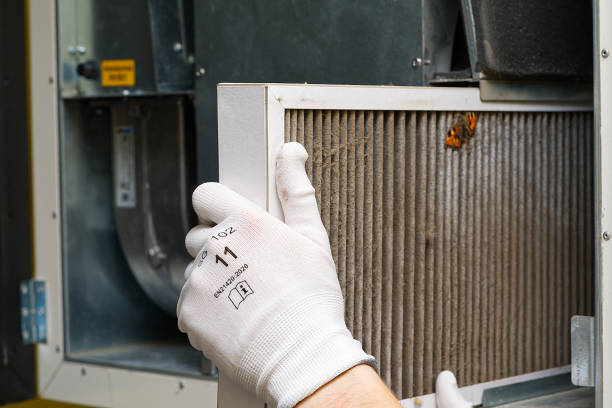 Best Professional Duct Cleaning Services  in Kotzebue, AK