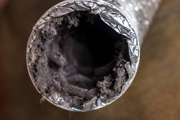 Best Local Air Duct Cleaning Services  in Kotzebue, AK