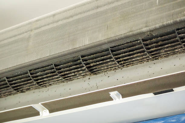 Best Emergency Air Duct Cleaning  in Kotzebue, AK