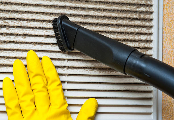 Best Ductwork Cleaning Services  in Kotzebue, AK